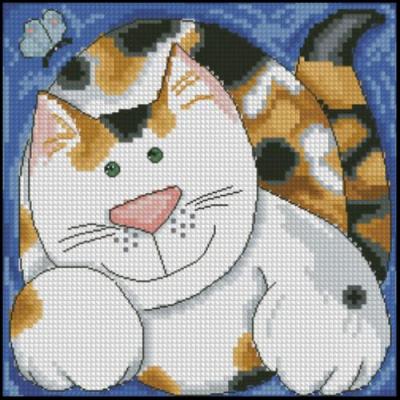 CMP 190116 Tortoiseshell Cat