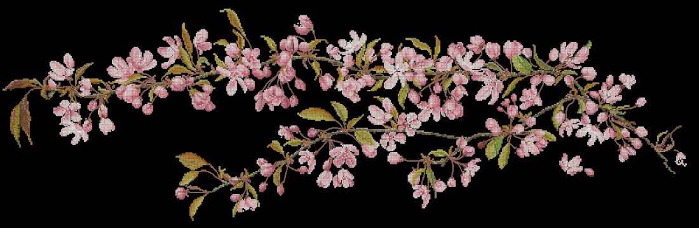 CMP 171384 Japanese Blossom