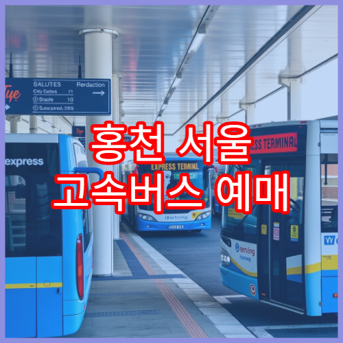 홍천 서울 고속버스 예매 일정 및 잔여좌석 조회 기능