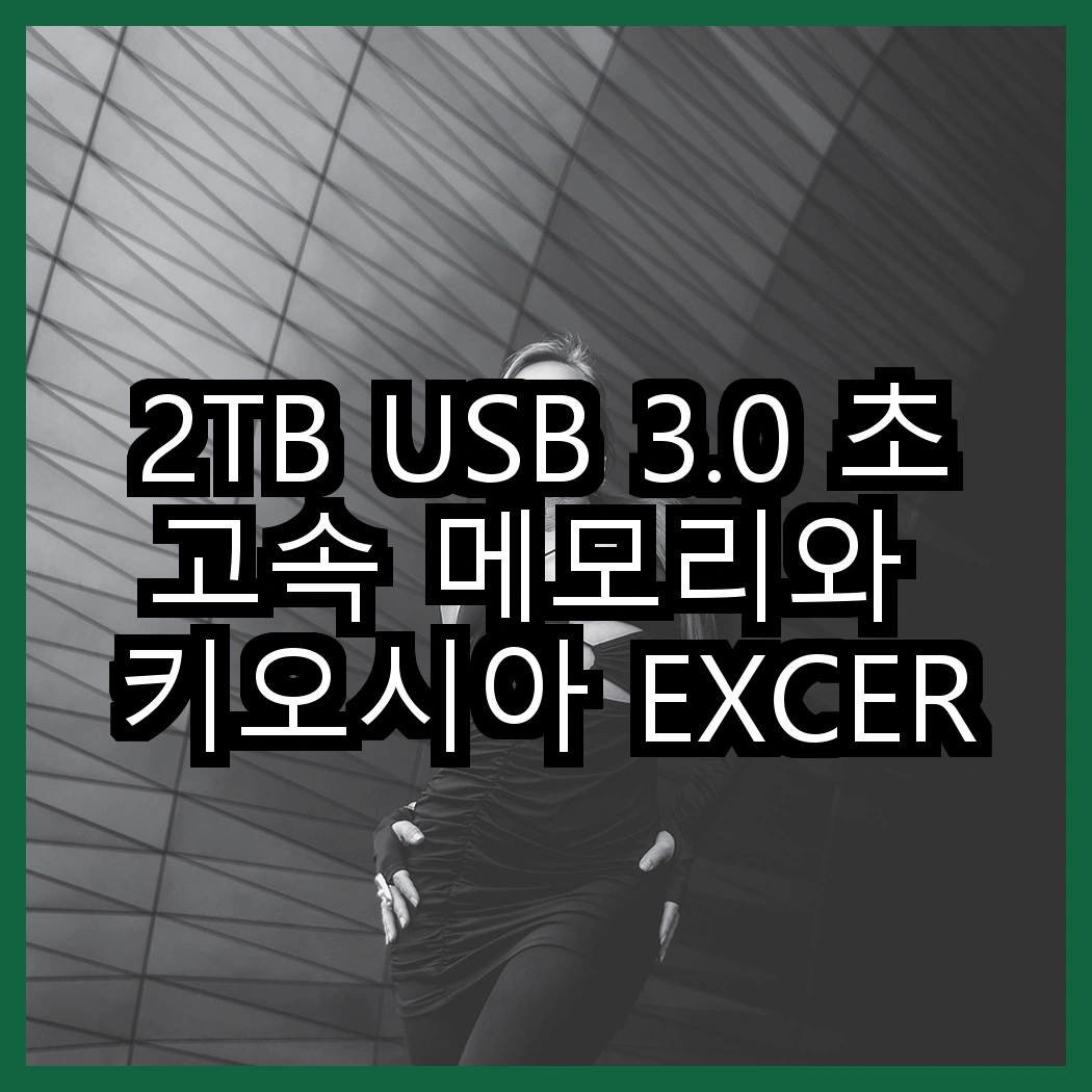 2TB USB 3.0 초고속 메모리와 키오시아 EXCERIA 마이크로 메모리 카드, 어떤 선택이 더 나을까? 썸네일