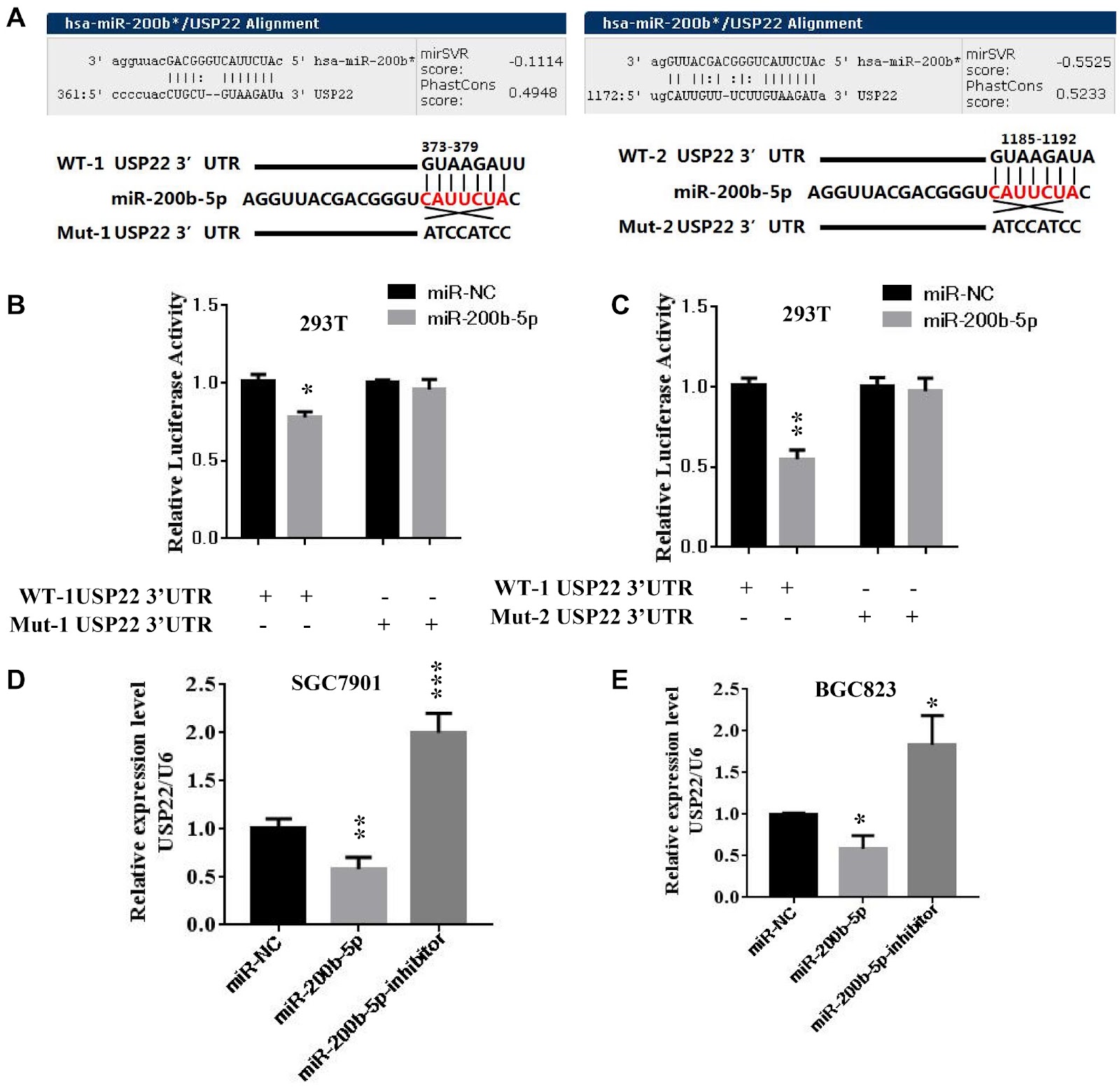Inhibition of USP22 by miR-200b-5p represses gastric cancer cell proliferation and migration by targeting the NF-κB signaling pathway