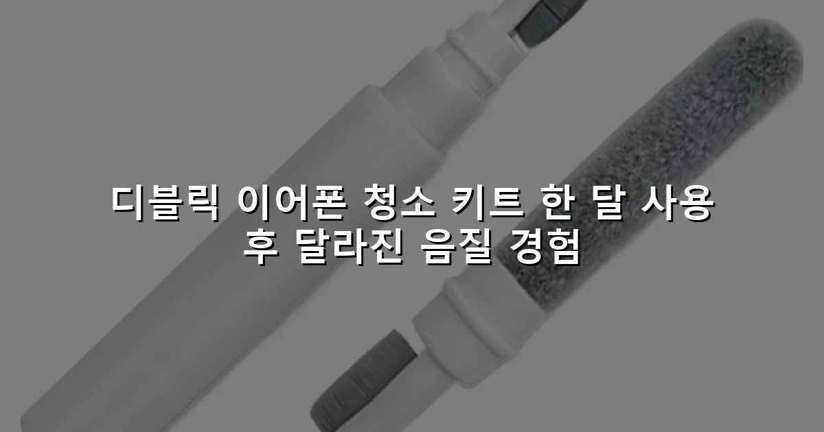 디블릭 이어폰 청소 키트 한 달 사용 후 달라진 음질 경험
