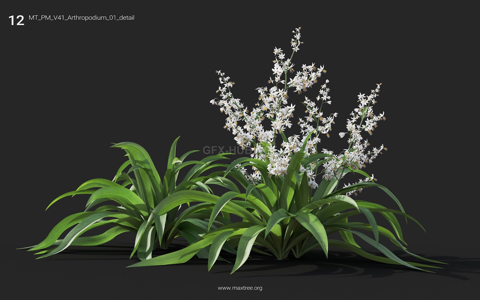 Maxtree - Plant Models Vol.41