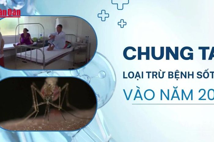 [Video] Nhân Ngày Thế giới phòng, chống sốt rét (25/4) - Chung tay loại trừ bệnh sốt rét vào năm 2030 - Báo Nhân Dân