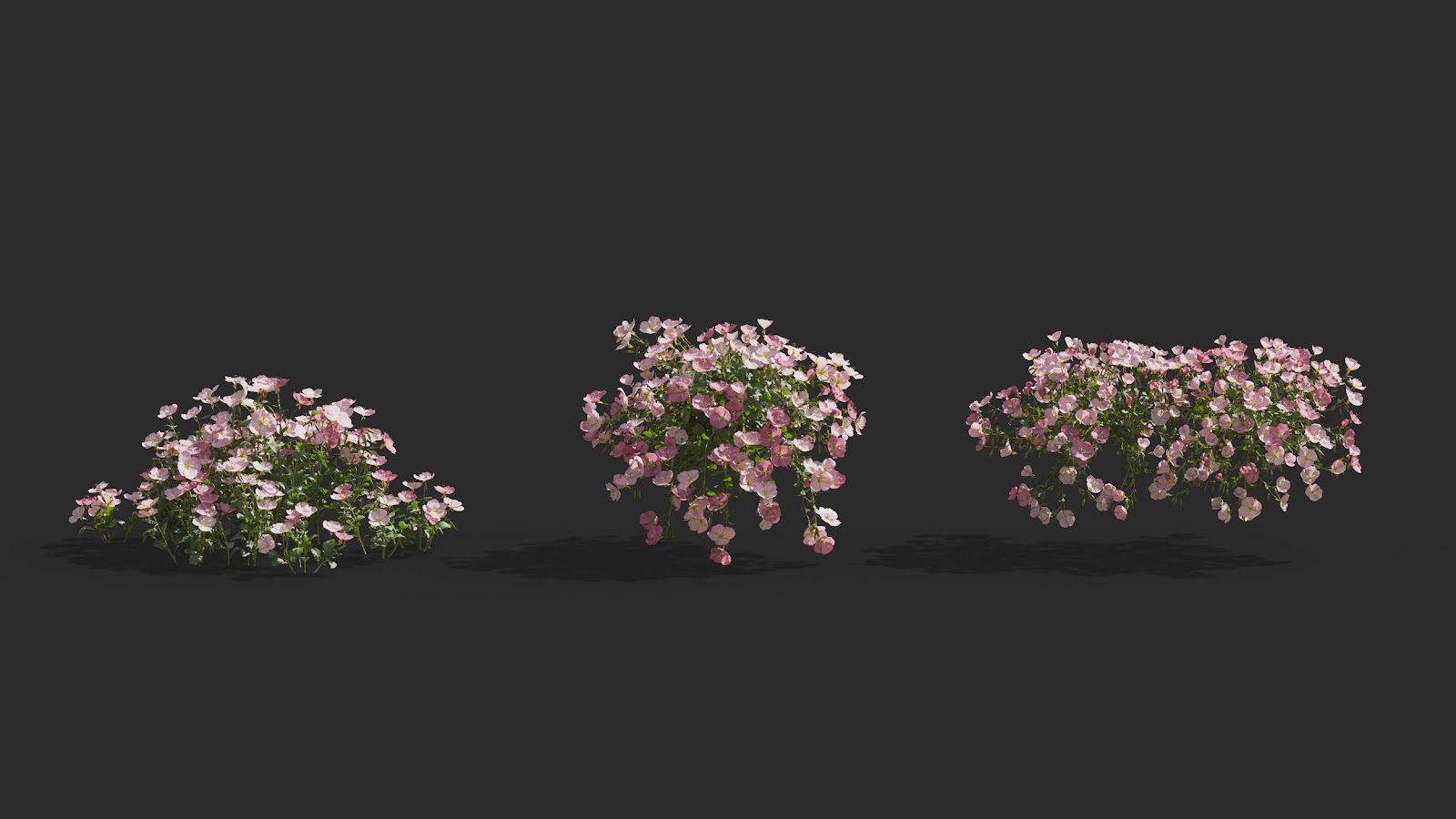 Maxtree - Plant Models Vol.64