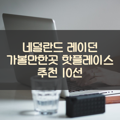네덜란드 레이던 가볼만한곳 핫플레이스 추천 10선 썸네일