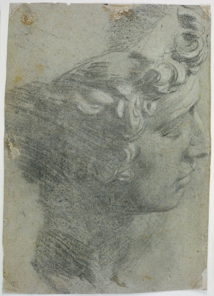 Study after the head of Michelangelos Giuliano deMedici ca 1515 1560