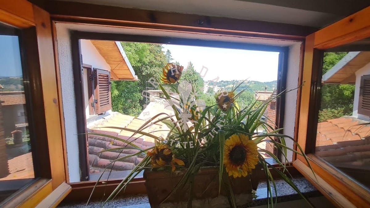 החמניות של ארינה (I Girasoli di Erina) — 27