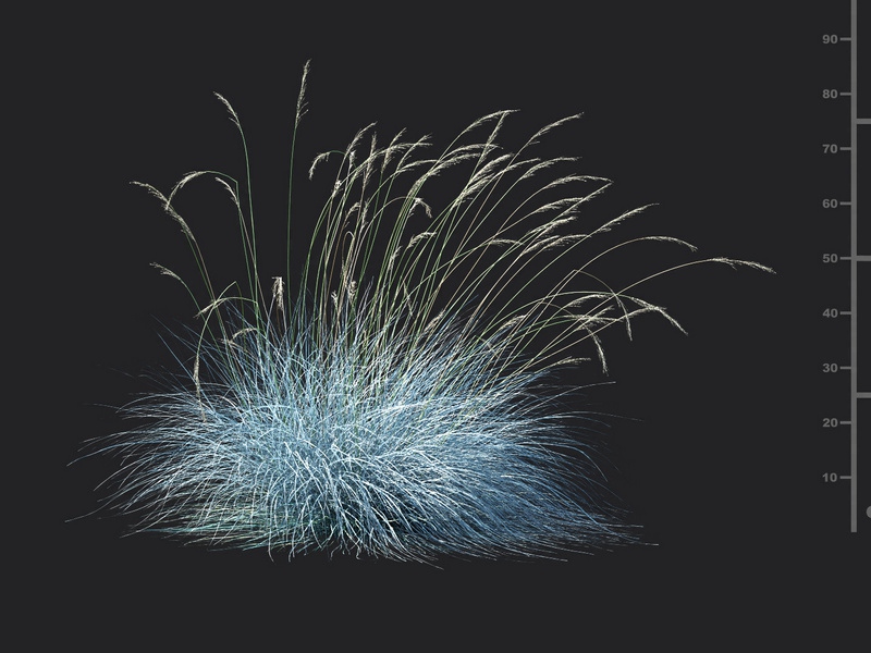 Maxtree - Plant Models Vol.115