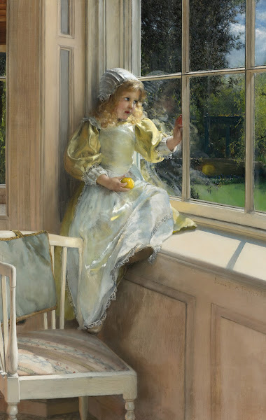 A Looking Out Owindow Sunshine