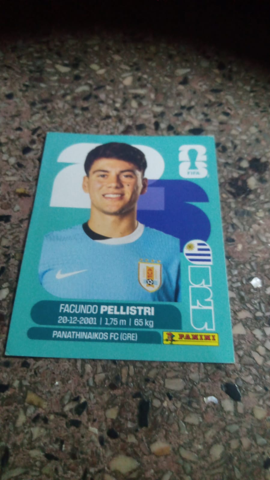 Pellistri