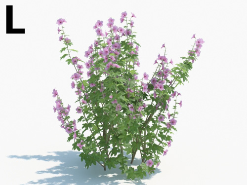 Maxtree - Plant Models Vol.3