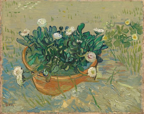 Daisies Arles 1888