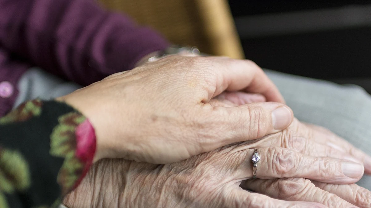 노인 복지 보조금 종류별 수급 조건과 신청 팁