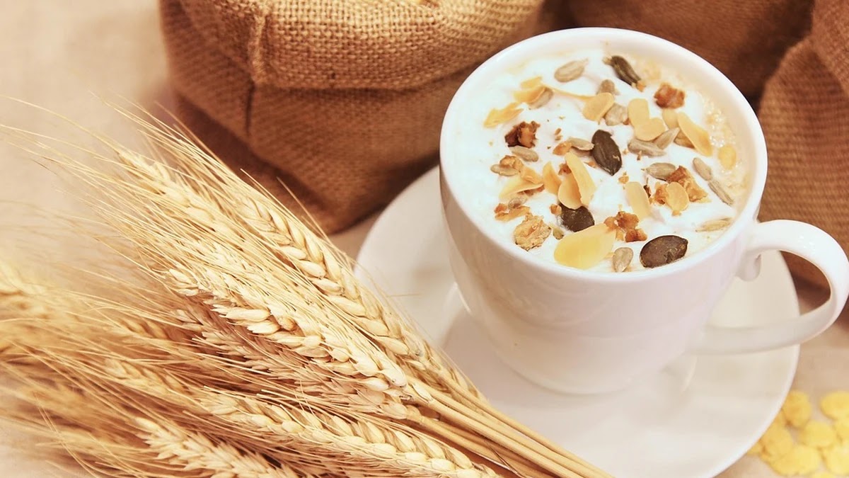 유산균과 프로바이오틱스 차이, 내게 맞는 선택법