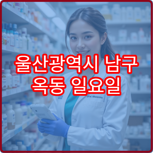 울산광역시 남구 옥동 일요일 당직약국 주말 영업 약국 안내 야간 영업 포함