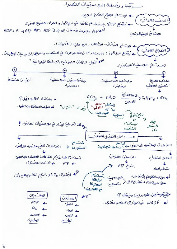 صورة الغلاف