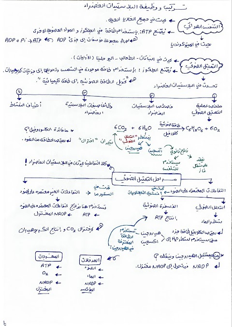 ملخص وحدة التمثيل الضوئي بخط اليد - أحياء الصف 12 الفصل 2