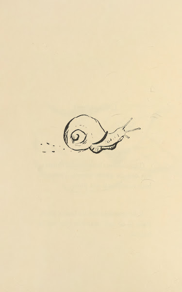 Histoires naturelles Pl 32 1922