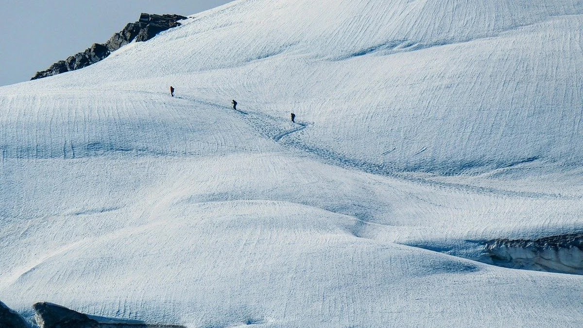 은행별 이체 수수료 비교와 무료 면제 조건 정리