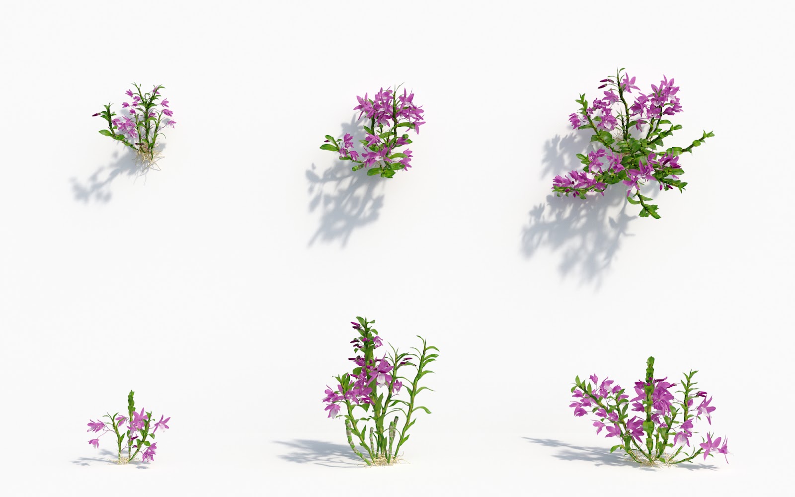 Maxtree - Plant Models Vol.8