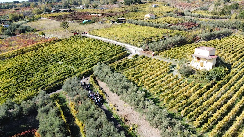 dji_122718