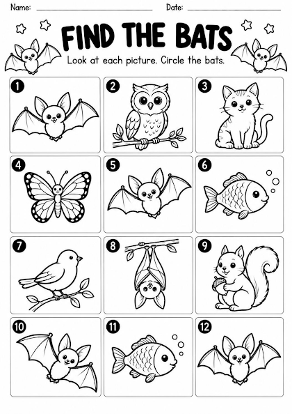 Bat Picture Identification Worksheet