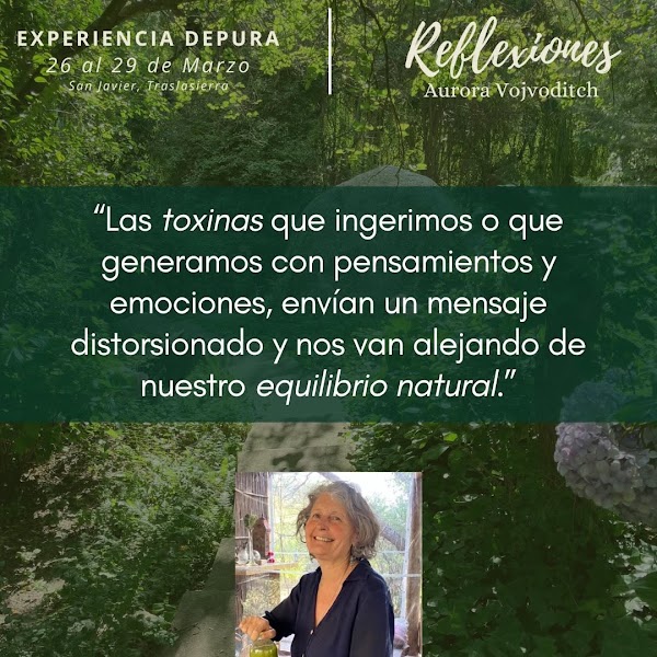 Experiencia Depura