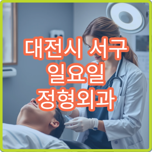 대전시 서구 일요일 정형외과 진료 병원 허리 디스크 관절 치료