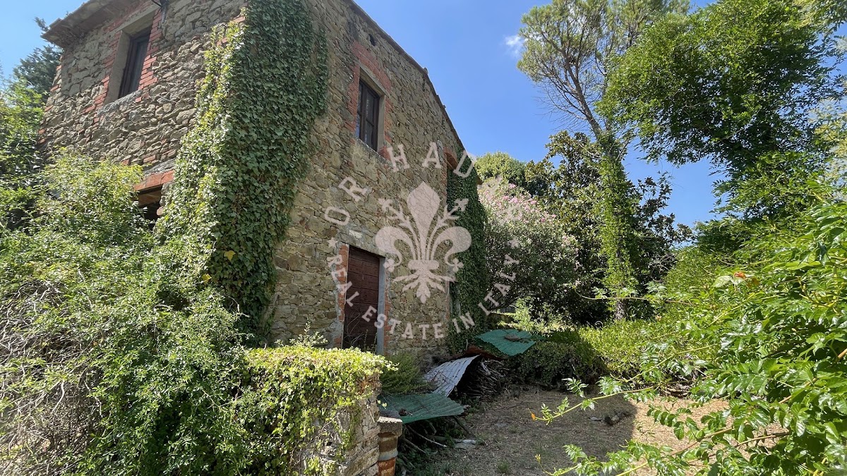 וילה קורנליה (Villa Cornelia) — 12