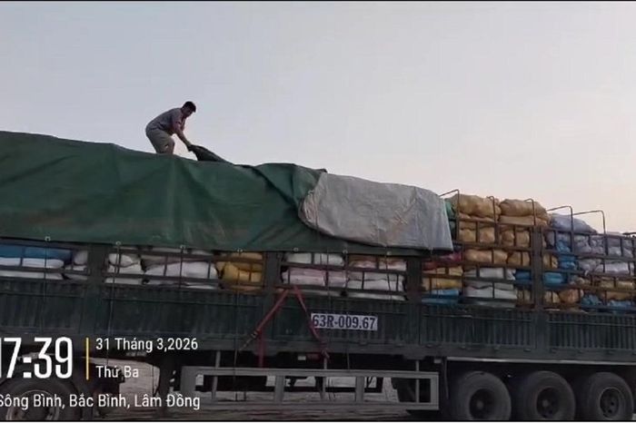 Xe chở quá khổ trên cao tốc Phan Thiết - Vĩnh Hảo bị phạt hơn 40 triệu - Tạp chí Tri thức