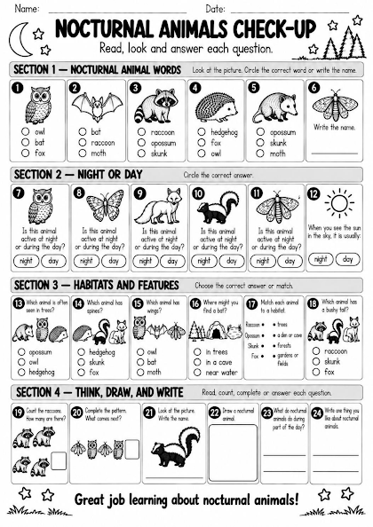 Nocturnal Animals Check-Up Worksheet