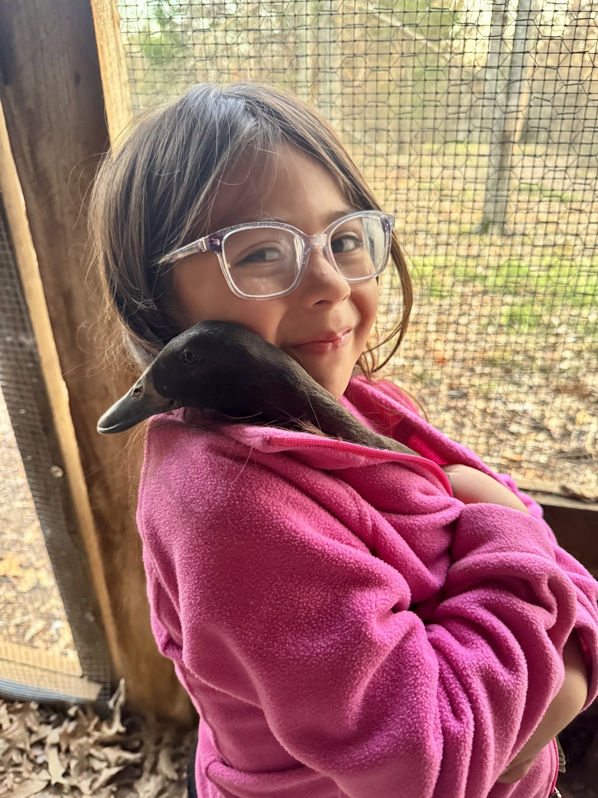 Chocolate Runner Duckling