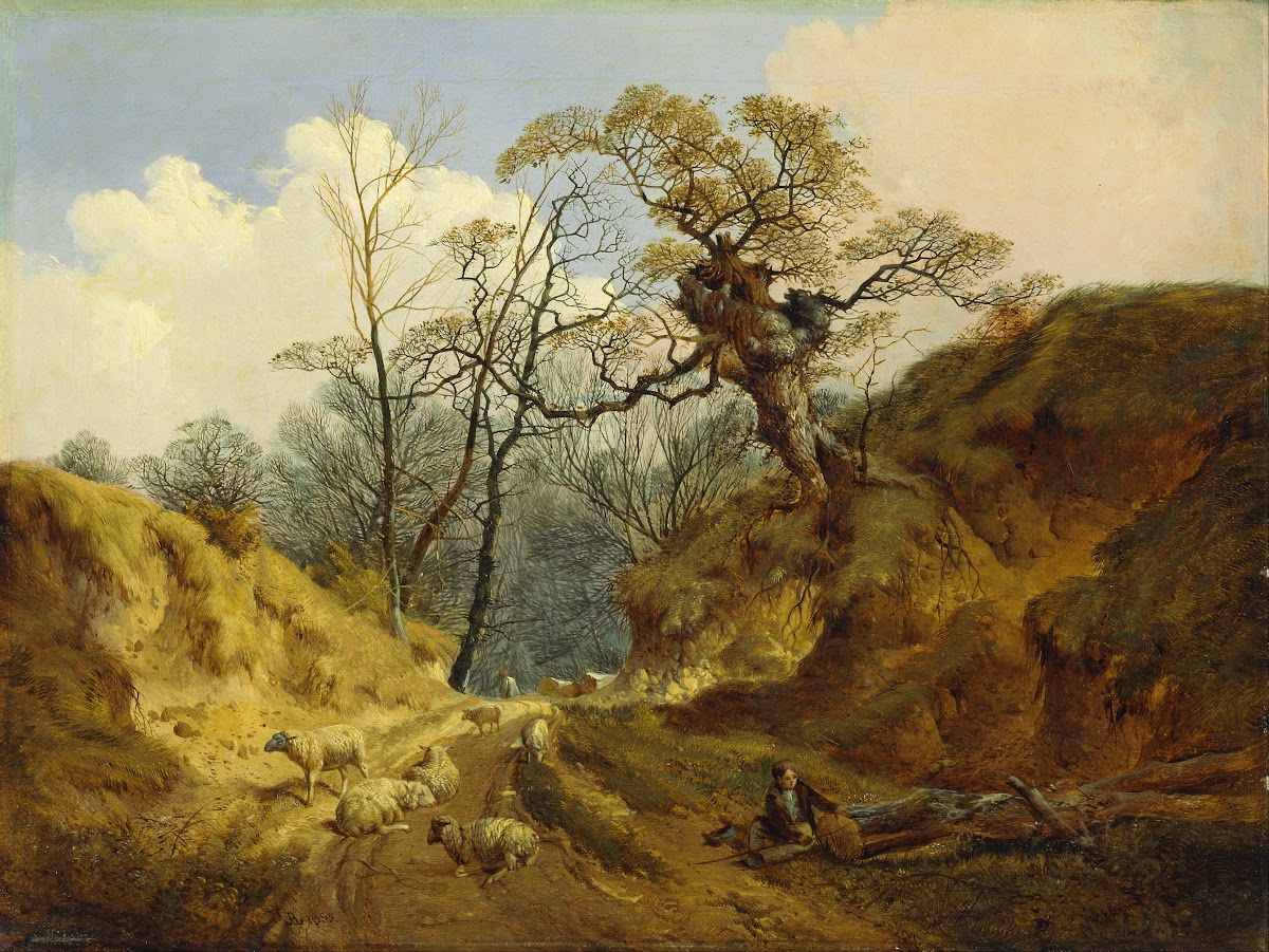 Crown Point Whitlingham Near Norwich