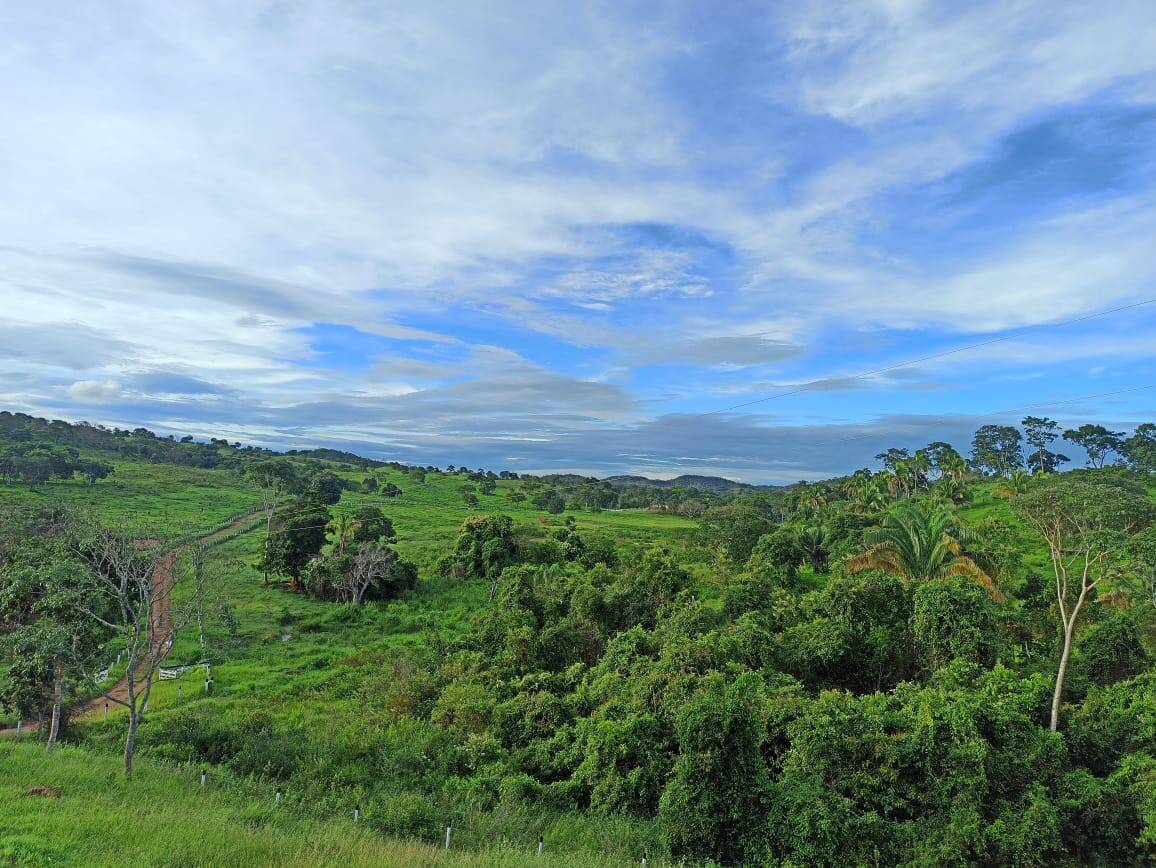 Fazenda no Município de Santa Cruz Goiás 8
