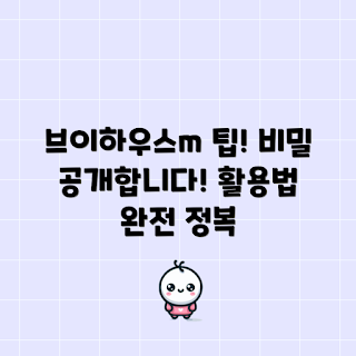 브이하우스m 팁, 브이하우스m 활용법, 어떻게 브이하우스m 사용하나, 브이하우스m 장점, 브이하우스m 추천