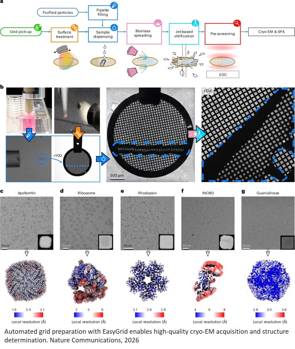 Platform for automated cryo-EM sample preparation and quality control