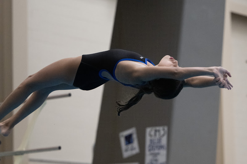 Photo from MS: Swim & Dive of Vivian Schmale