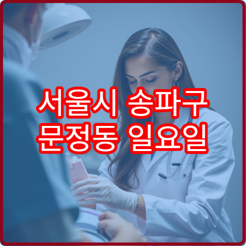 서울시 송파구 문정동 일요일 소아과 진료 병원 일요일 운영