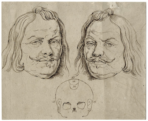 Kop v Michiel de Ruyter beeld spiegelbeeld en schedel