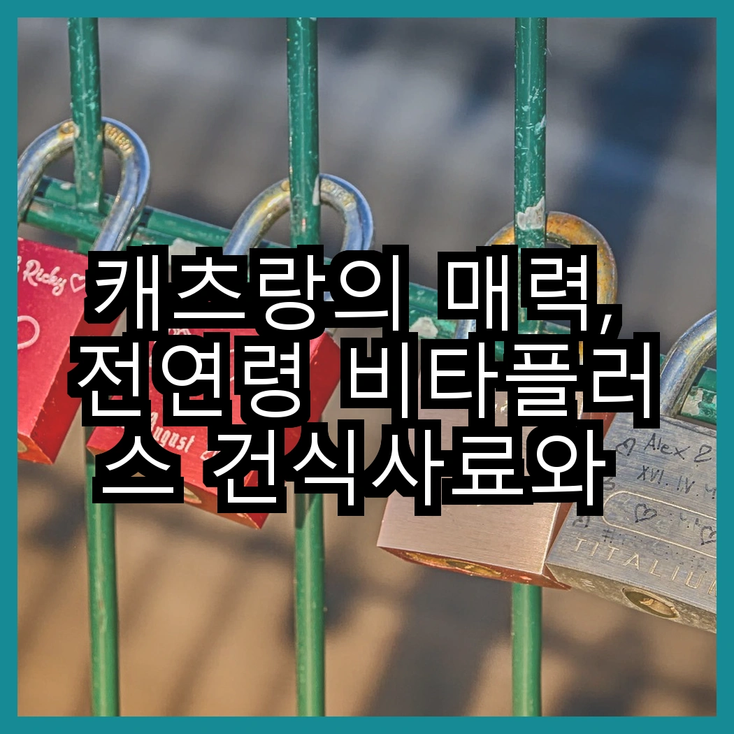 캐츠랑의 매력, 전연령 비타플러스 건식사료와 NEW 건식사료는 어떻게 다를까? 썸네일