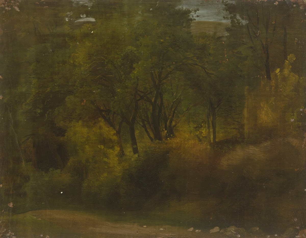 Inside a forest