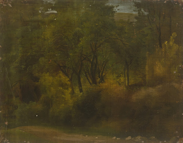 Inside a forest