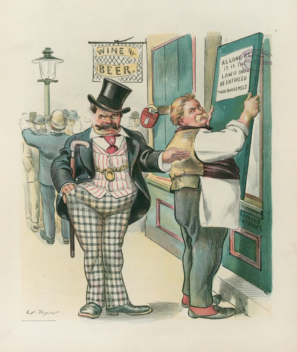 A rational law or  Tammany 1895