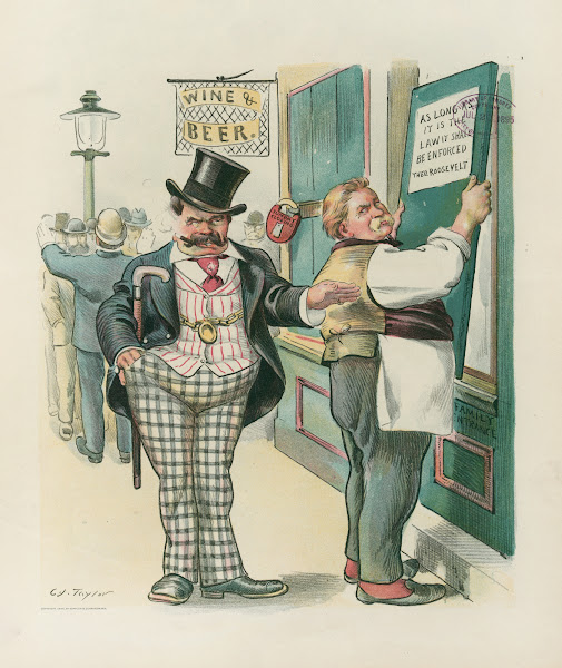 A rational law or  Tammany 1895