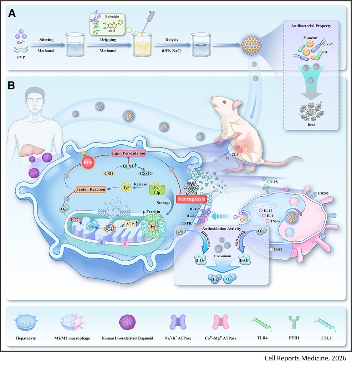 Sepsis therapy using multimodal hybrid nanozymes