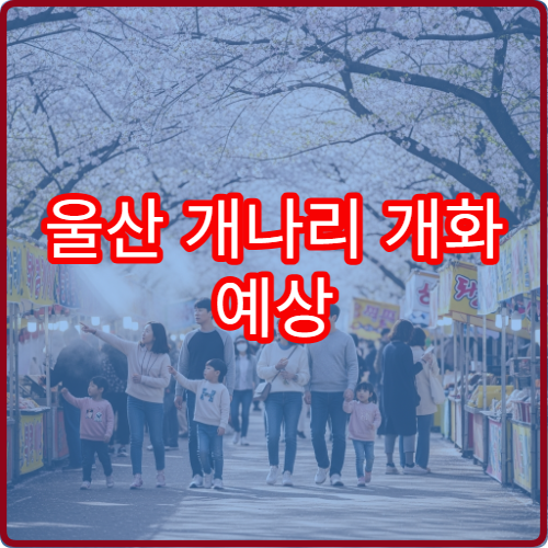 울산 개나리 개화 예상 울산 개나리 절정