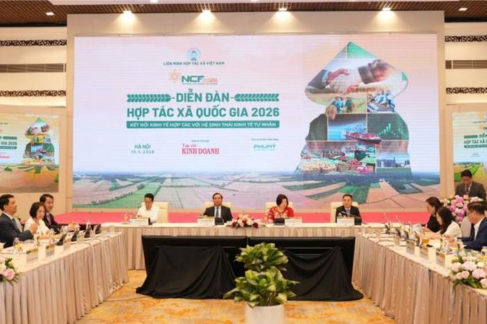 Kết nối hợp tác xã với kinh tế tư nhân - Đài Phát thanh và truyền hình Hà Nội