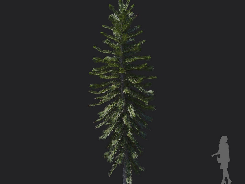 Maxtree - Plant Models Vol.121