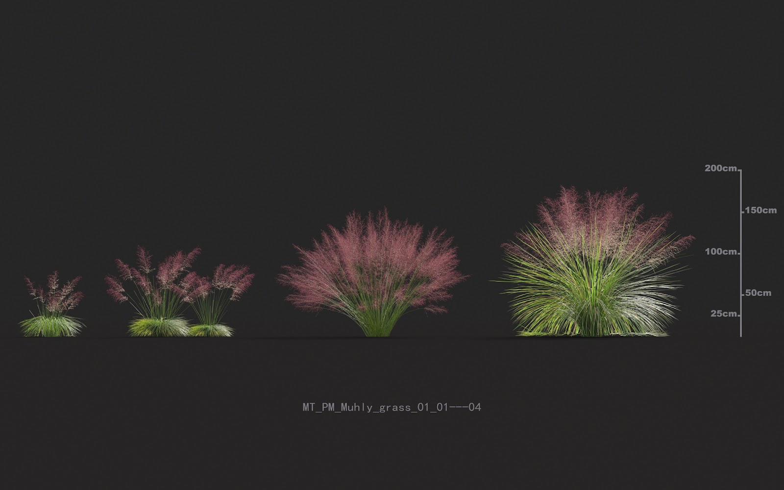 Maxtree - Plant Models Vol.20